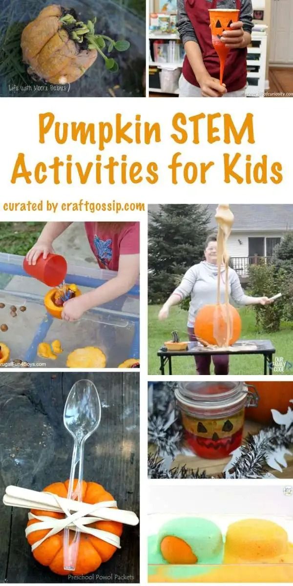 Pumpkin STEM Activities for Kids – Lesson Plans Apple Stem Activities, Pumpkin Stem Activities, Pumpkins Preschool, Pumpkin Science, Stem Activities For Kids, Pumpkin Inspiration, Brain Craft, Fall Produce, Fall Themes