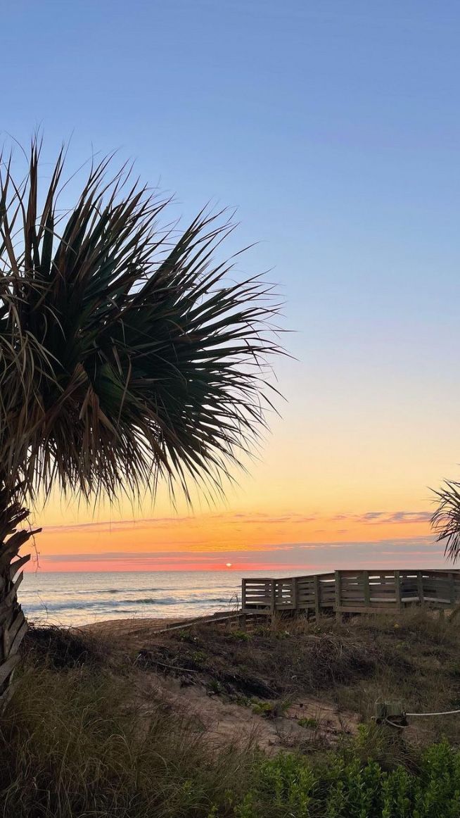 a bench sitting under a palm tree next to the ocean at sunset or sunrise time