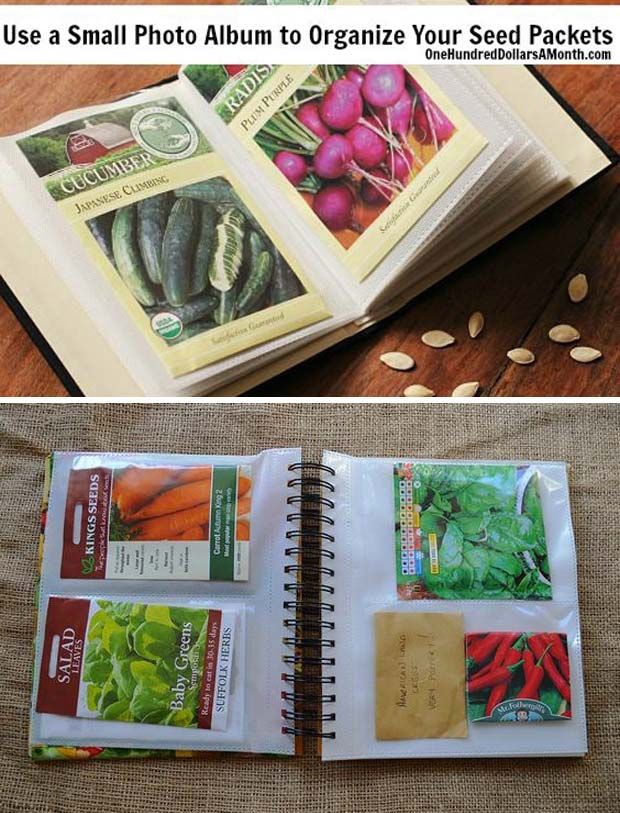 an open book with pictures of vegetables and seeds in it