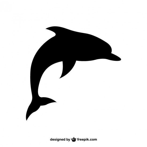 a black and white photo of a dolphin on a white background with the caption's name below it