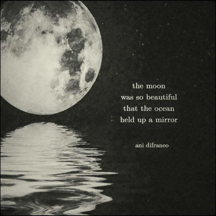 the moon was so beautiful that the ocean held up a mirror