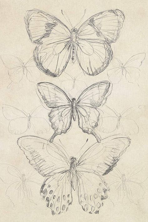 three butterflies sitting on top of each other in the middle of a drawing with pencils