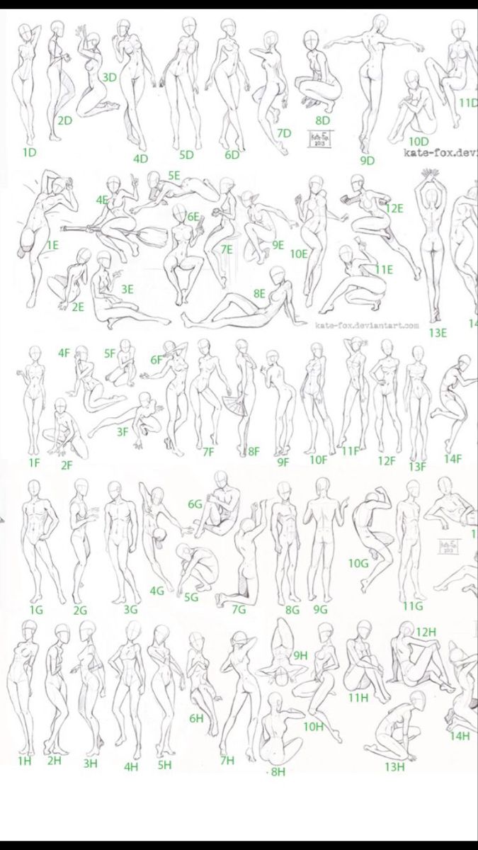 a drawing book with various poses and body shapes