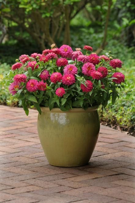 a potted plant with pink flowers sitting on a brick walkway in the middle of a garden