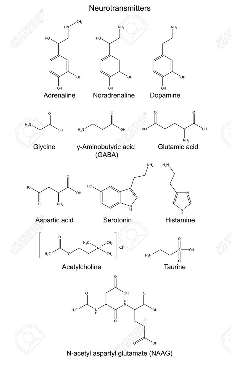 the structure and formulas of neutranamiter