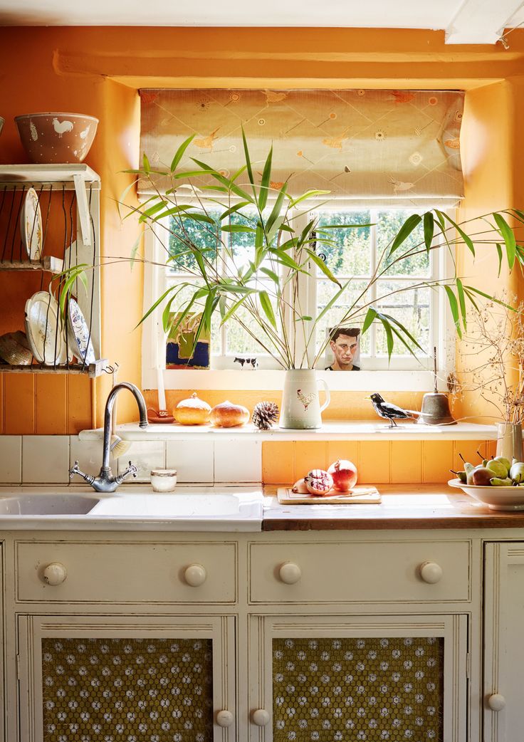 a kitchen with an orange wall and white counter tops, potted plants on the window sill