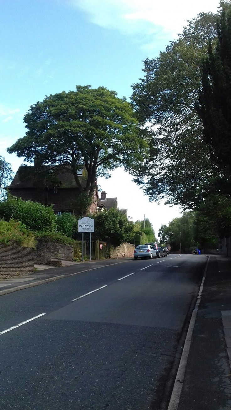 a street with cars parked on the side of it and trees lining the sides of the road