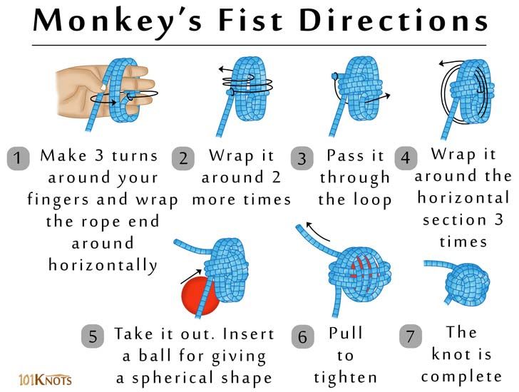 instructions on how to tie a monkey's first directions