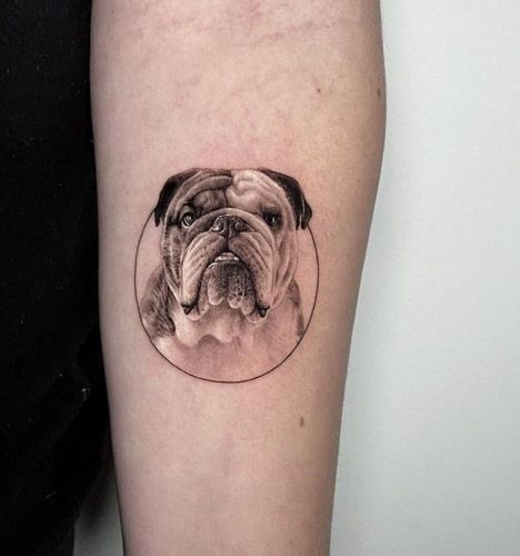 a black and white photo of a bulldog on the left arm with a circle around it