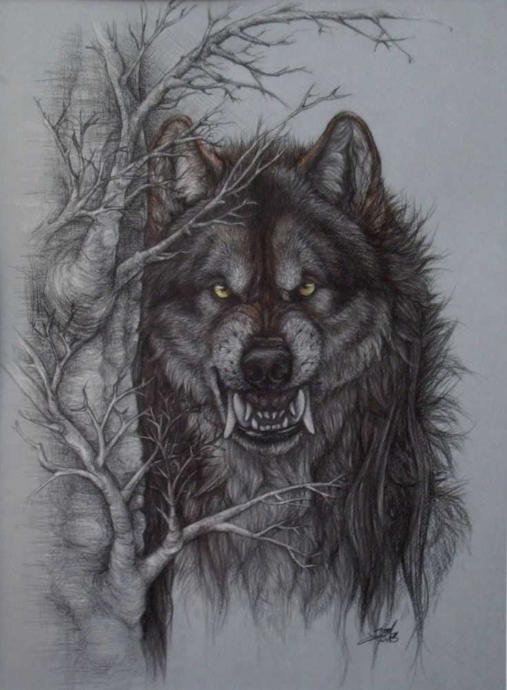 a drawing of a wolf with its mouth open next to a tree branch and branches