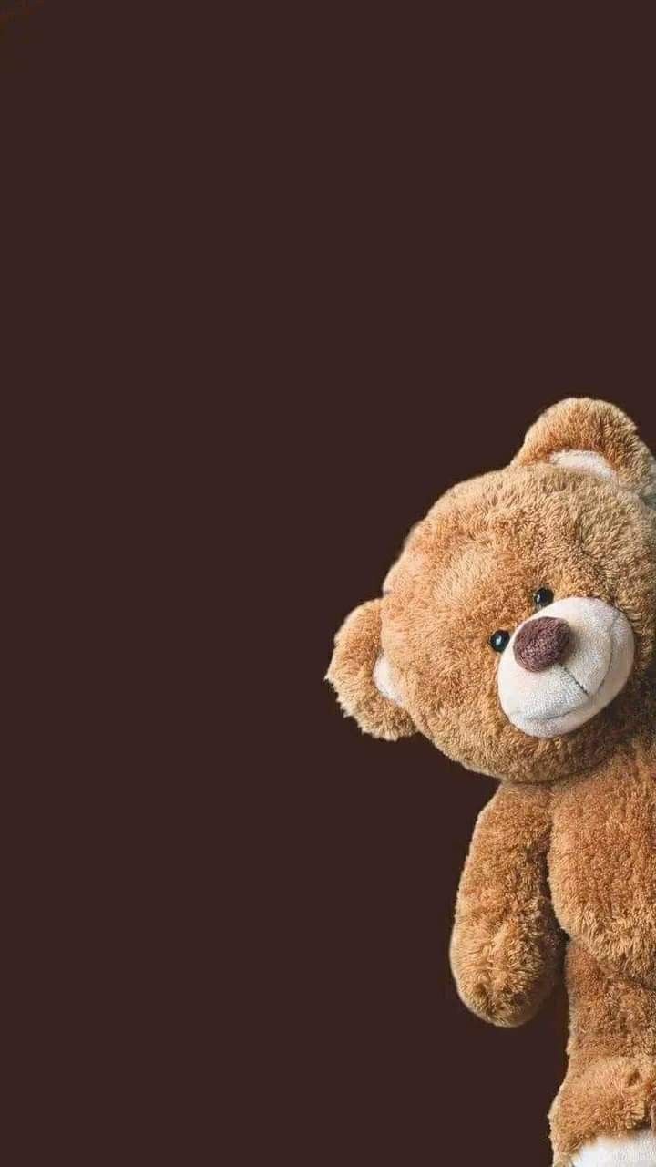 a brown teddy bear sitting up against a black background