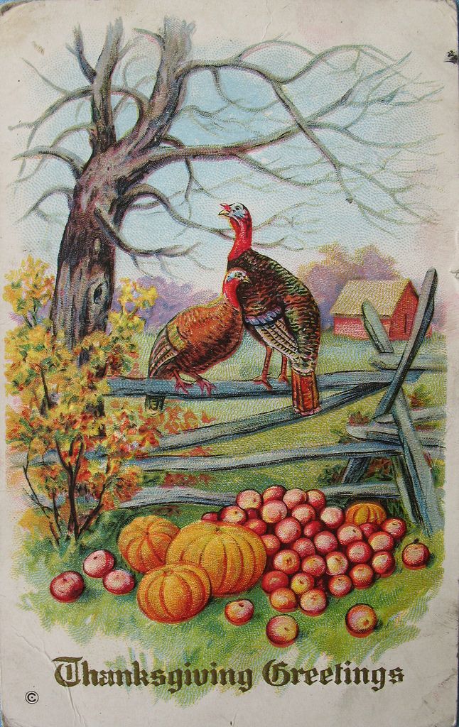 an old thanksgiving greeting with turkeys and apples