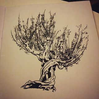 an ink drawing of a tree on paper