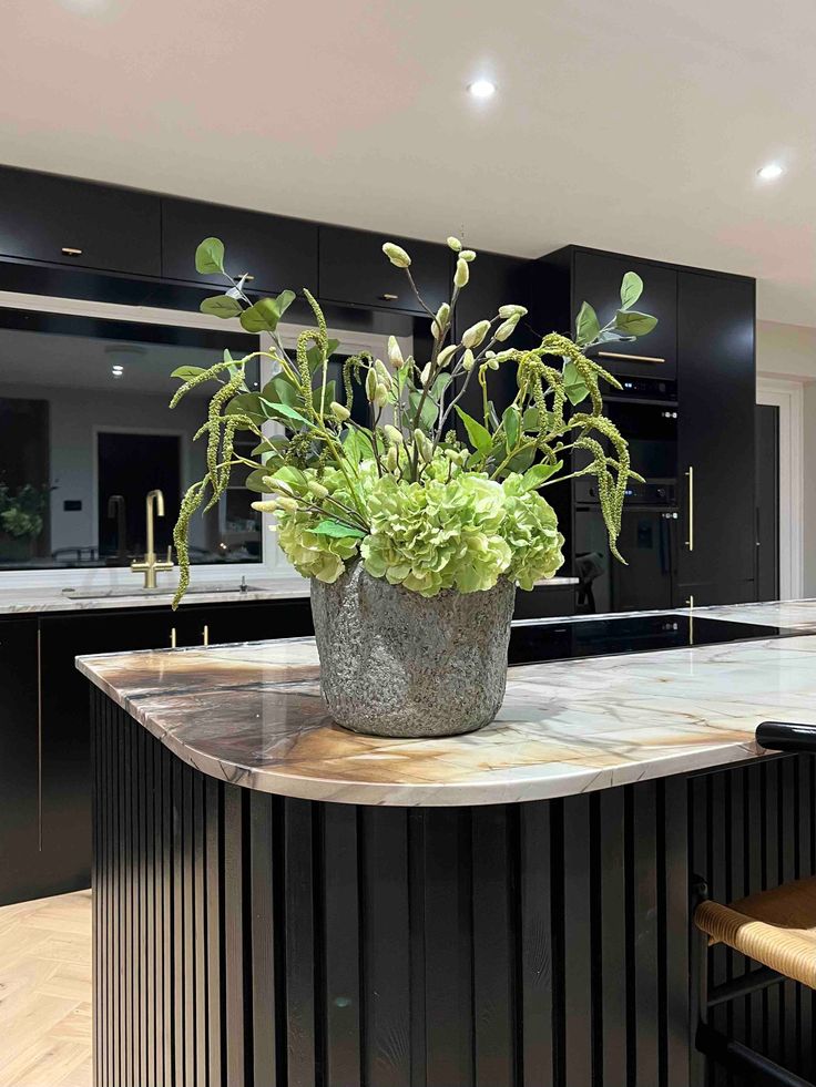 a potted plant sitting on top of a counter in a kitchen