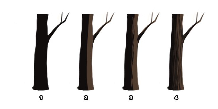 four different types of trees with the same height and width as shown in this diagram