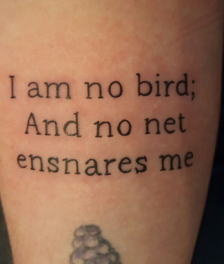 a tattoo saying i am no bird and no net ensharess me