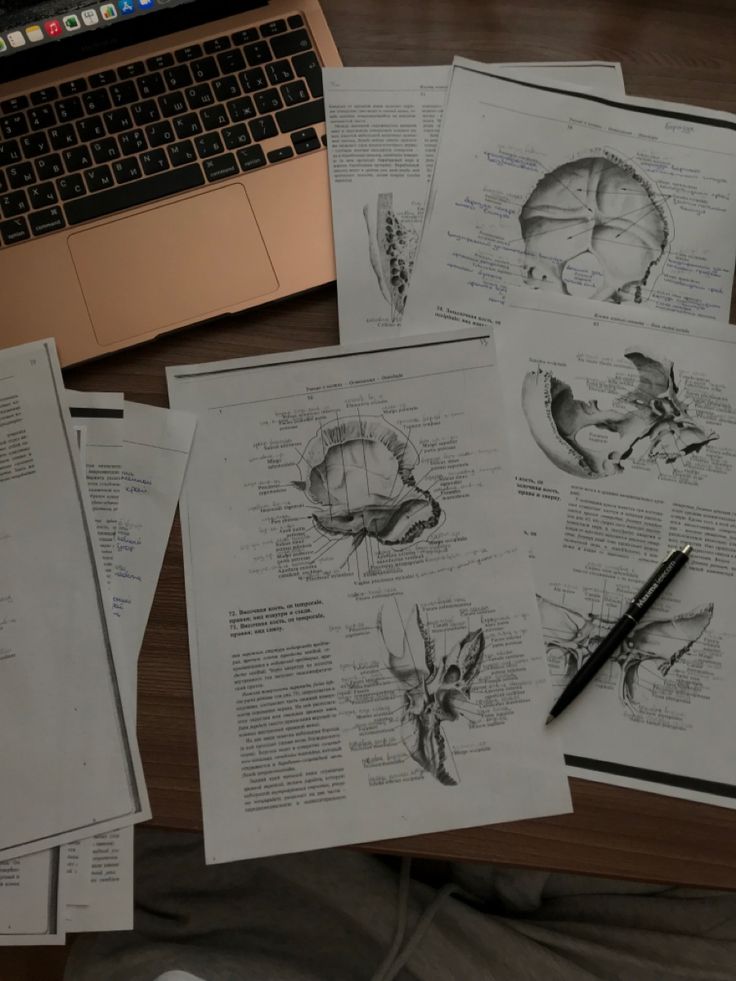 several medical diagrams are spread out on a desk next to a laptop