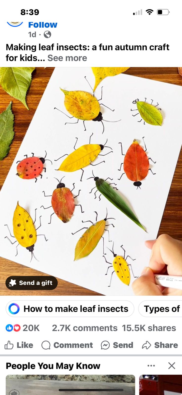 an instagram page with pictures of bugs and leaves on it