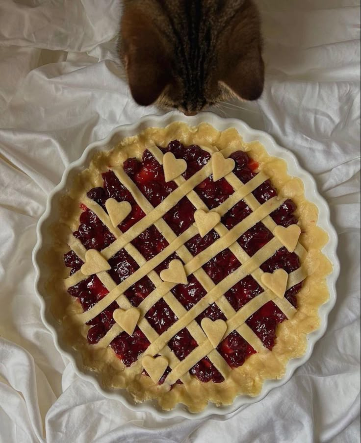 a pie sitting on top of a white sheet covered table next to a brown cat