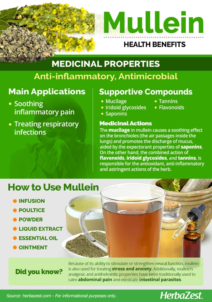 the health benefits of mullein tea info sheet is shown in green and white