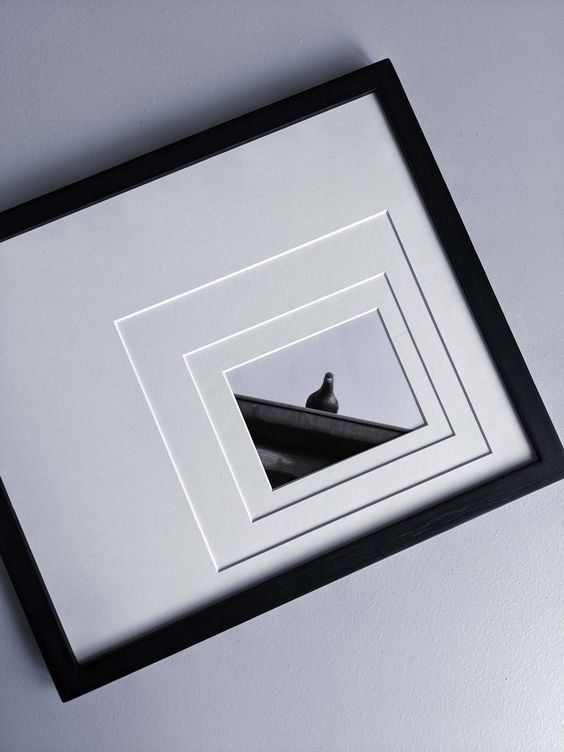 a bird sitting on top of a black and white frame