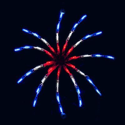 red, white and blue fireworks in the dark sky