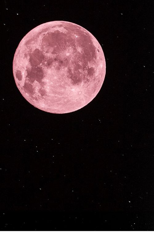 the full pink moon is shining in the night sky