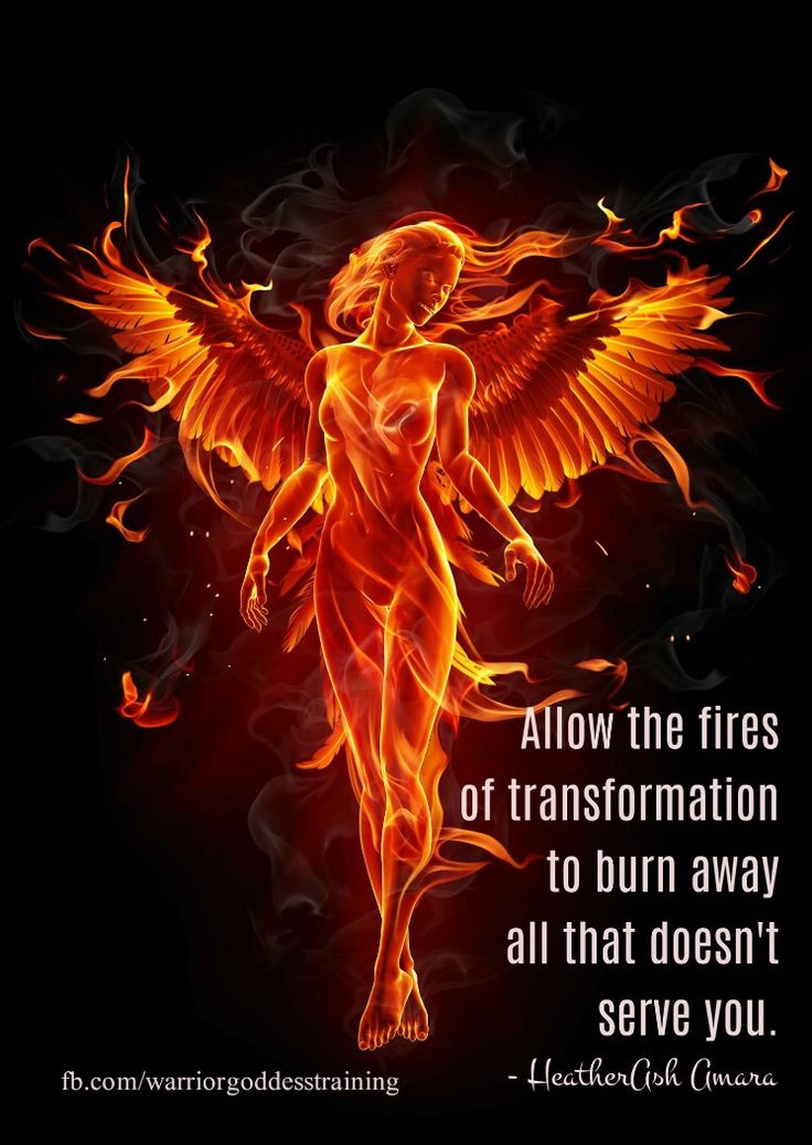 Phoenix Quotes, Phoenix Artwork, Phoenix Images, Phoenix Tattoo Design, Mystical Animals, Phoenix Art, Phoenix Bird, Phoenix Tattoo, Fire Art