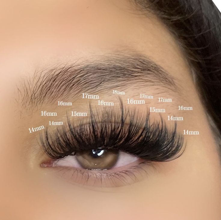 Long Eyelashes Extensions, Types Of Eyelashes Extensions, Dolly Lash Mapping, Lash Sets With Mapping Volume, Round Eye Eyelash Extensions, Hybrid Wispy Eyelash Extensions Doll Eye, Doll Eye Wispy Lash Extensions, Wispy Lashes Mapping Clusters, Wispy Volume Lash Extensions Doll Eye