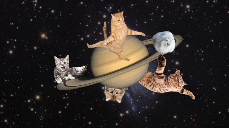 three cats sitting on top of an object in the sky with stars around them and one cat standing on it's hind legs