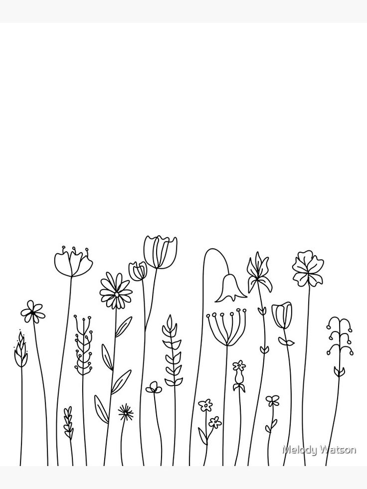 a line drawing of flowers on a white background