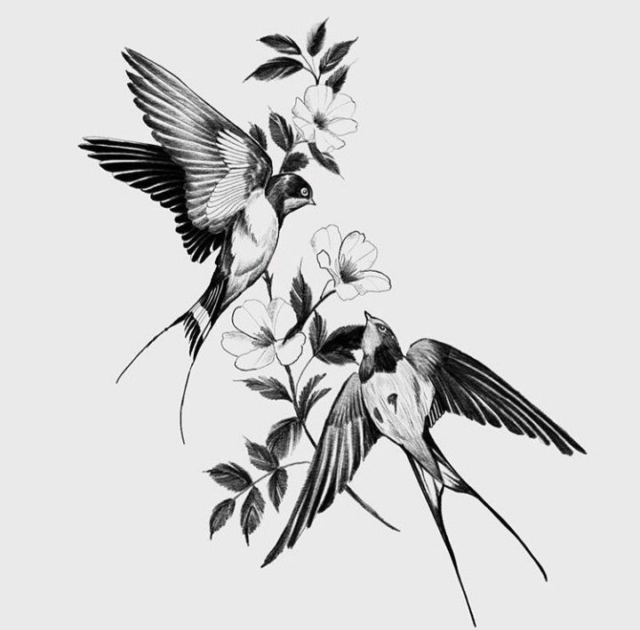 black and white drawing of two hummingbirds flying over flowers on a branch with leaves