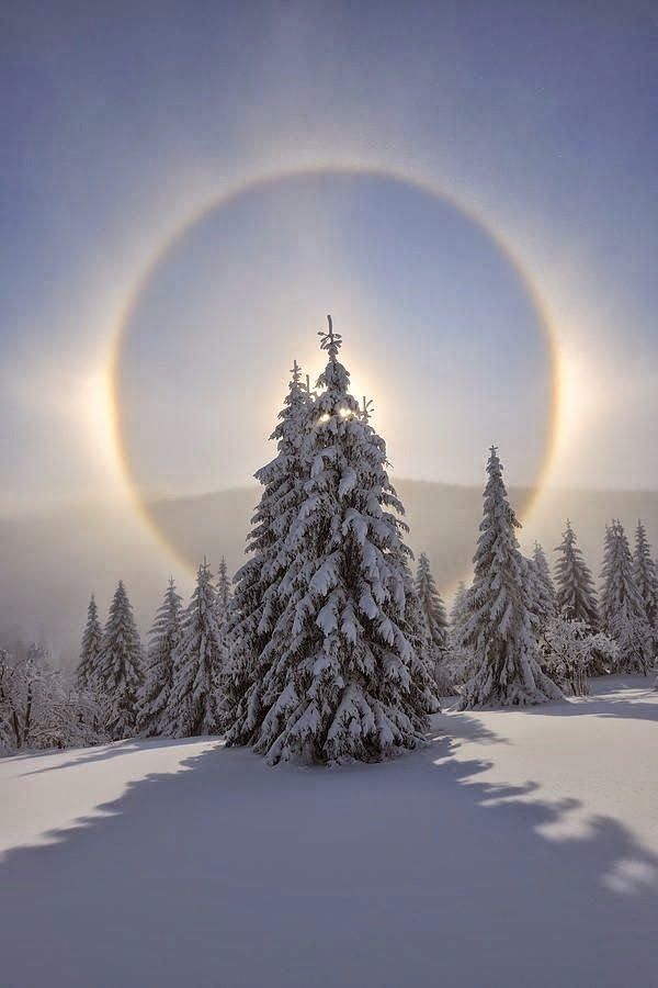 the sun is shining in the sky over snow covered trees and evergreens with a halo around them