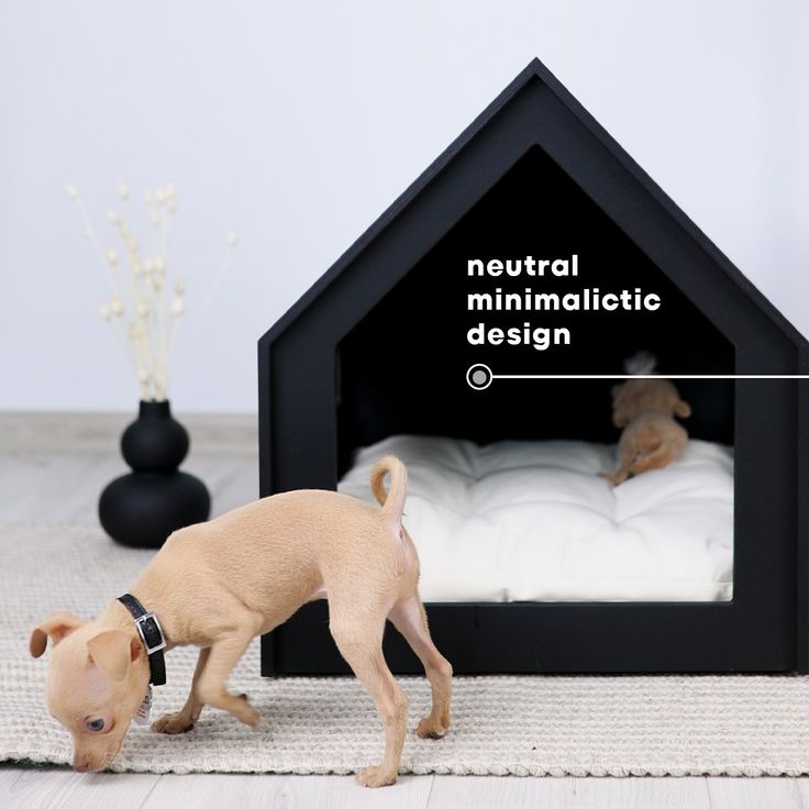 a small dog standing in front of a bed with the words neutral minimictic design on it