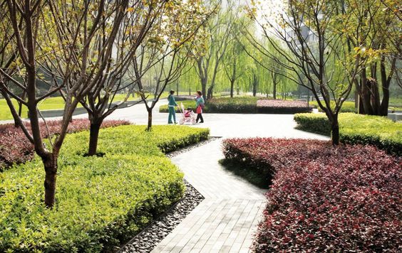 two people walking through a park with trees and shrubs on either side of the path