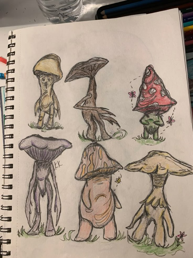 a drawing of different types of mushrooms on a paper with colored pencils in front of it