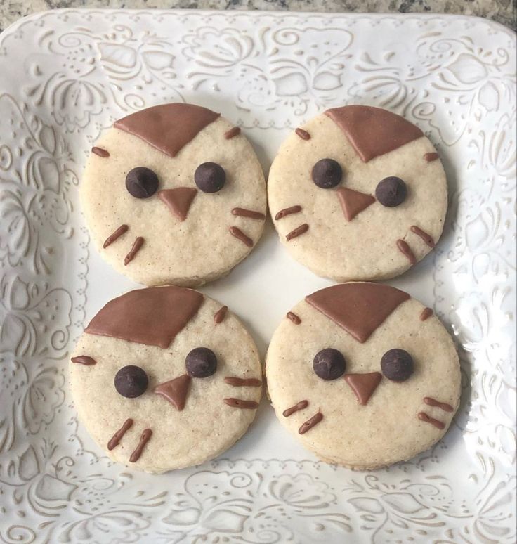 four cookies decorated like cats on a white plate