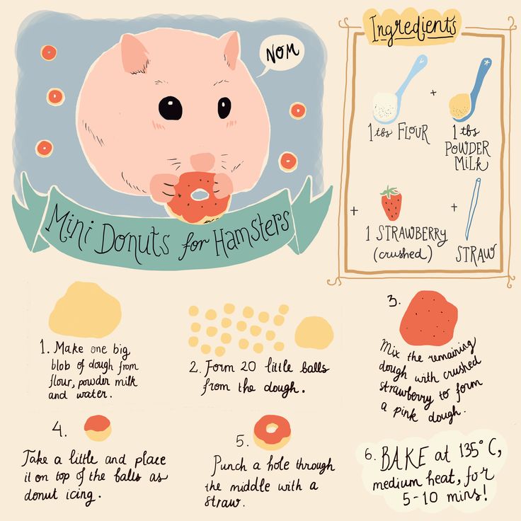 a poster with instructions on how to make donuts for hamsters