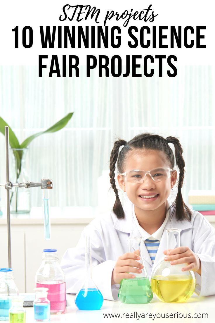 Engineering Science Fair Projects, 1st Grade Science Fair, Kids Engineering Projects, Stem Fair Projects, Kindergarten Science Fair Projects, Science Fair Topics, Winning Science Fair Projects, Middle School Science Fair Projects, High School Science Fair Projects