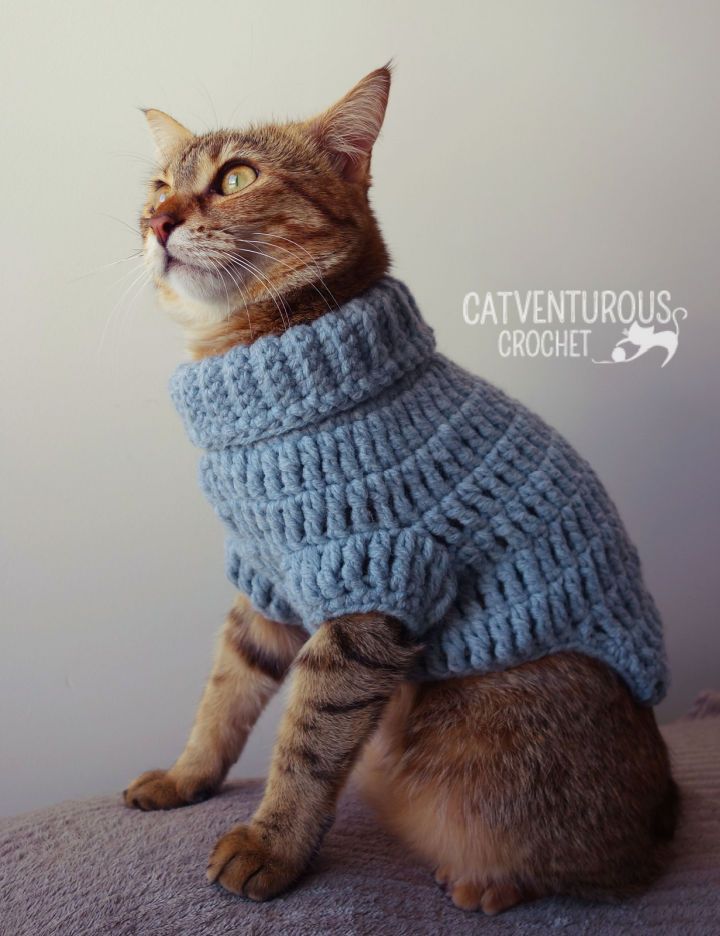 a cat wearing a sweater sitting on top of a bed