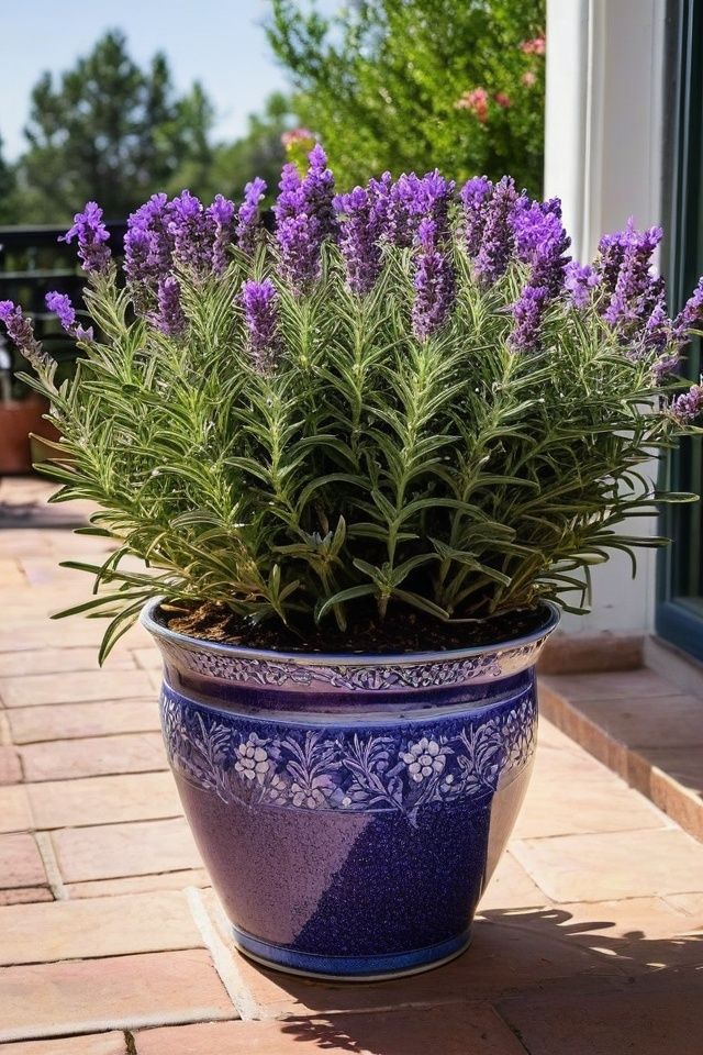 a potted plant with purple flowers sitting on a brick walkway next to a window