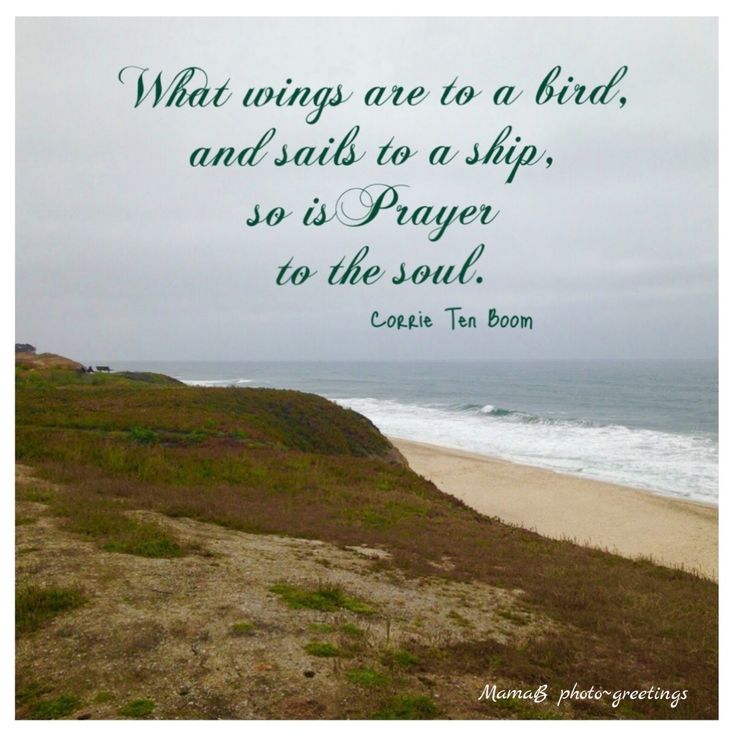 a quote on the beach that says, what wings are to a bird and sits to a ship so is prayer to the soul