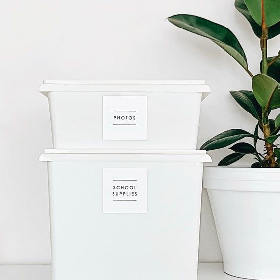 three white containers with labels on them next to a potted plant