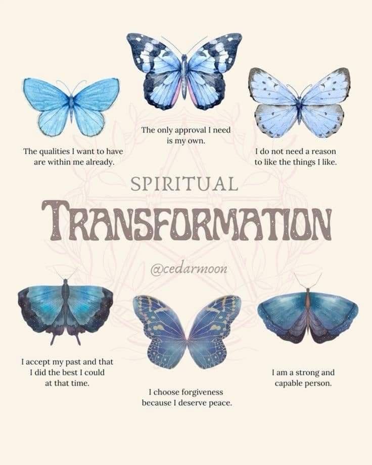 Witch Affirmations, Witch's Grimoire, Transformation Spell, Spiritual Butterfly, Manifest Peace, Be Delusional, Magic Practice, Grey Witch, Shadow Work Spiritual