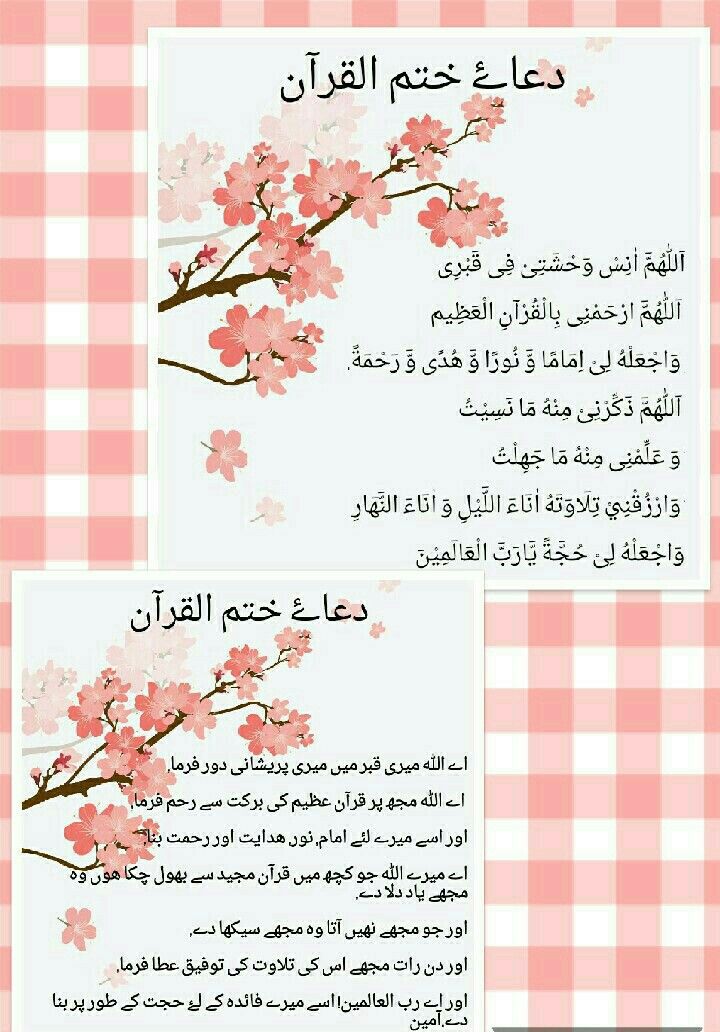 two pink flowers on a checkered tablecloth with the words in english and arabic