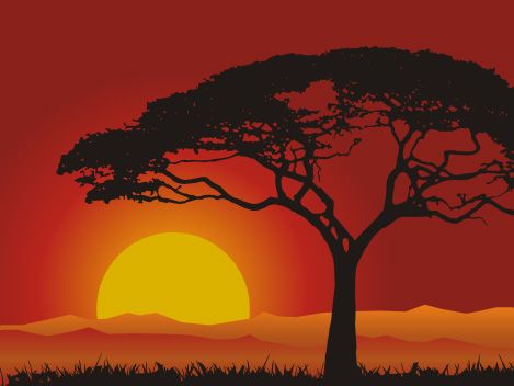 the sun is setting behind a tree in an orange and red sky with hills below