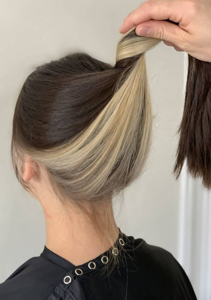 Different Color Underneath Hair, Blonde Hidden Hair, Light Underneath Dark On Top Hair, Sunk Hairstyles, Coloring Under The Hair, Long Brown Hair With Blonde Underneath, Discreet Hair Color, Brown Over Blonde Hair, Easy Diy Hair Dye Ideas