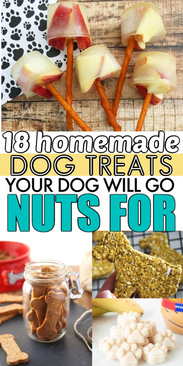 dog treats that include apples, carrots and nuts for the dogs to eat in their homes