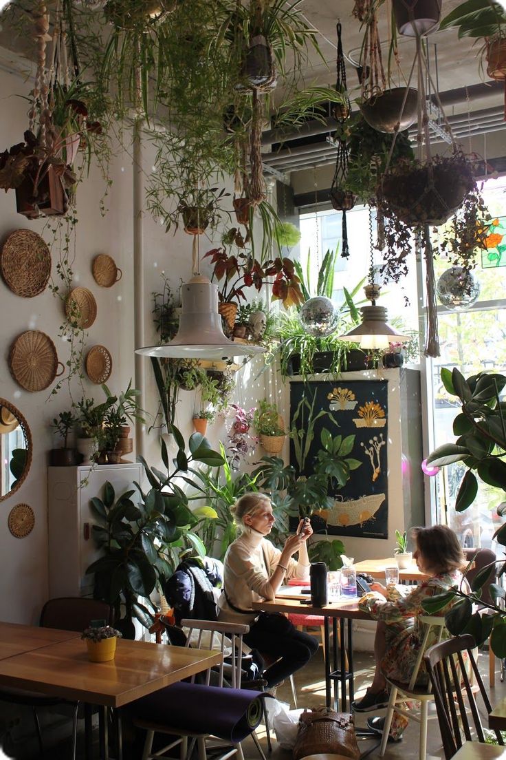 two women sitting at a table with plants hanging from the ceiling in front of them