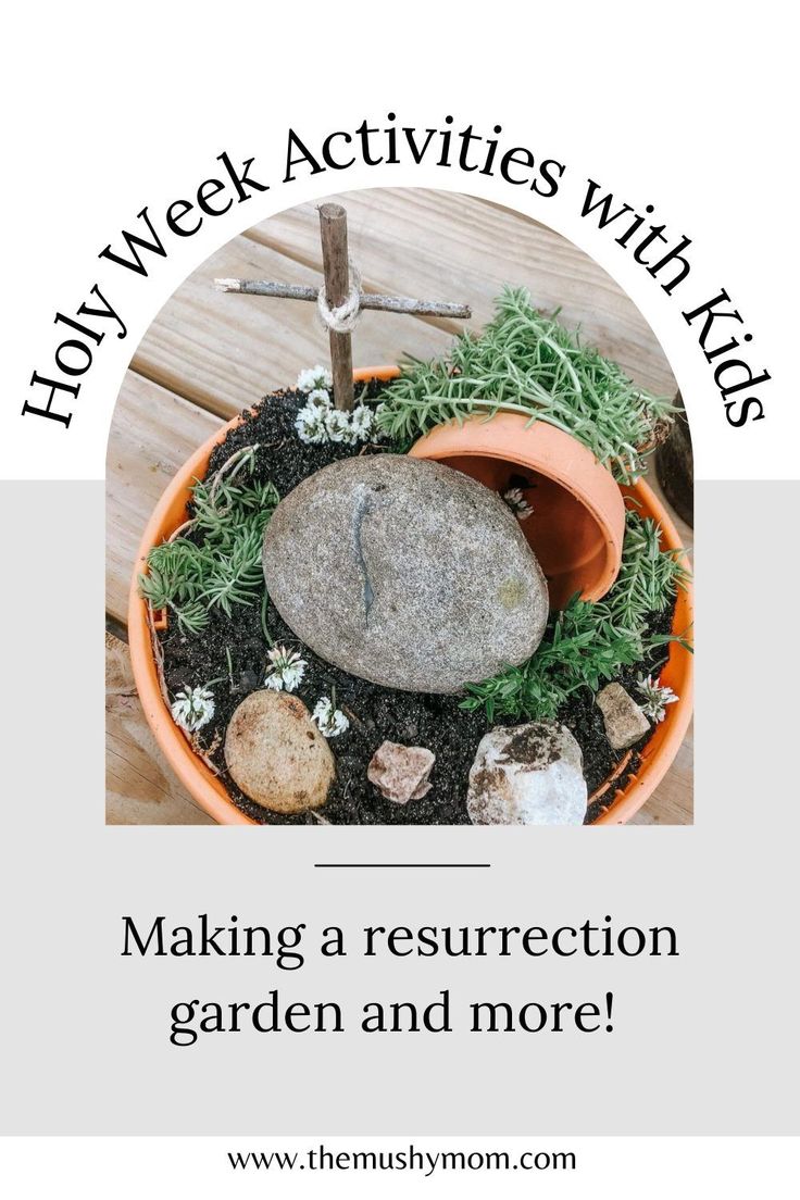 a potted plant sitting on top of a wooden table next to rocks and grass